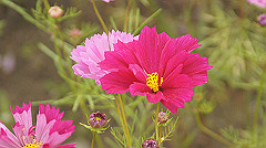 20151010-123_thumb.jpg