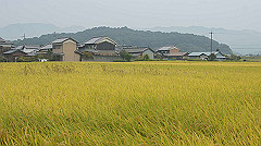 20151010-128_thumb.jpg