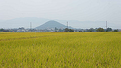 20151010-132_thumb.jpg