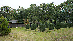 20151010-145_thumb.jpg