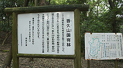 20151010-155_thumb.jpg