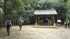 20151010-158_thumb.jpg