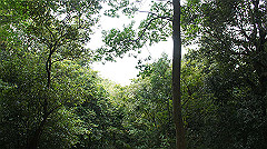 20151010-159_thumb.jpg
