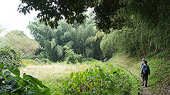 20151010-165_thumb.jpg