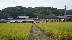 20151010-166_thumb.jpg