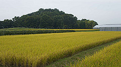 20151010-170_thumb.jpg