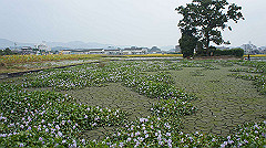 20151010-176_thumb.jpg
