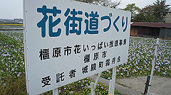 20151010-179_thumb.jpg