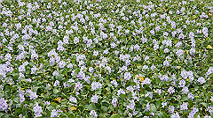 20151010-182_thumb.jpg