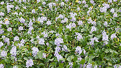 20151010-183_thumb.jpg