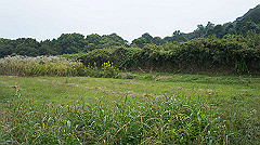 20151010-194_thumb.jpg