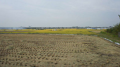 20151010-197_thumb.jpg