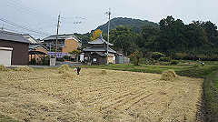 20151010-198_thumb.jpg