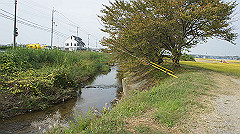 20151010-199_thumb.jpg