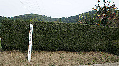 20151010-203_thumb.jpg