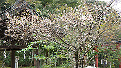 20151010-210_thumb.jpg