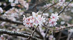 20151010-211_thumb.jpg