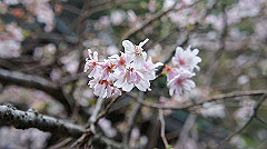 20151010-212_thumb.jpg
