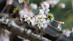 20151010-213_thumb.jpg