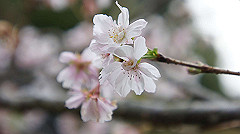 20151010-214_thumb.jpg