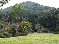 20151010-233_thumb.jpg