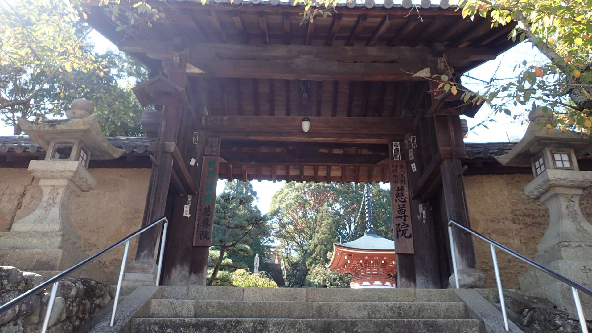 pa193342.jpg