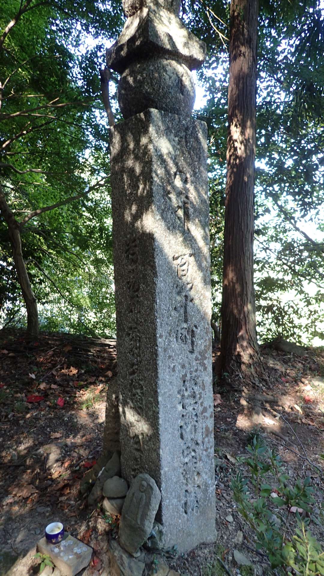 pa193347.jpg