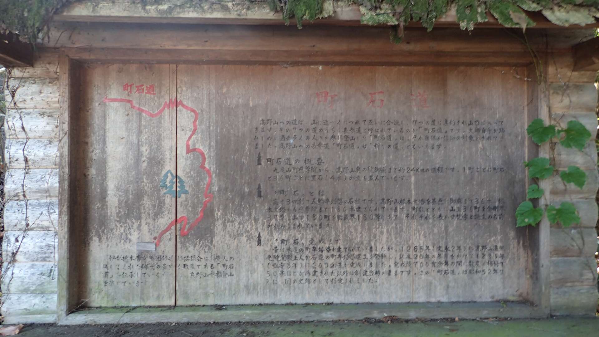 pa193348.jpg