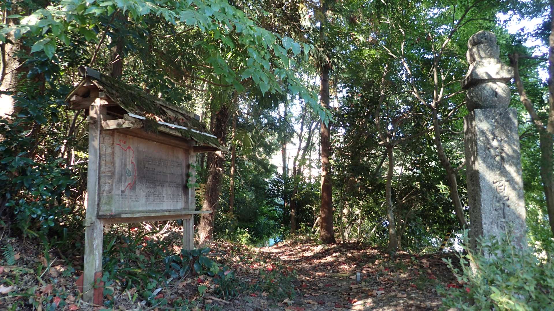 pa193349.jpg