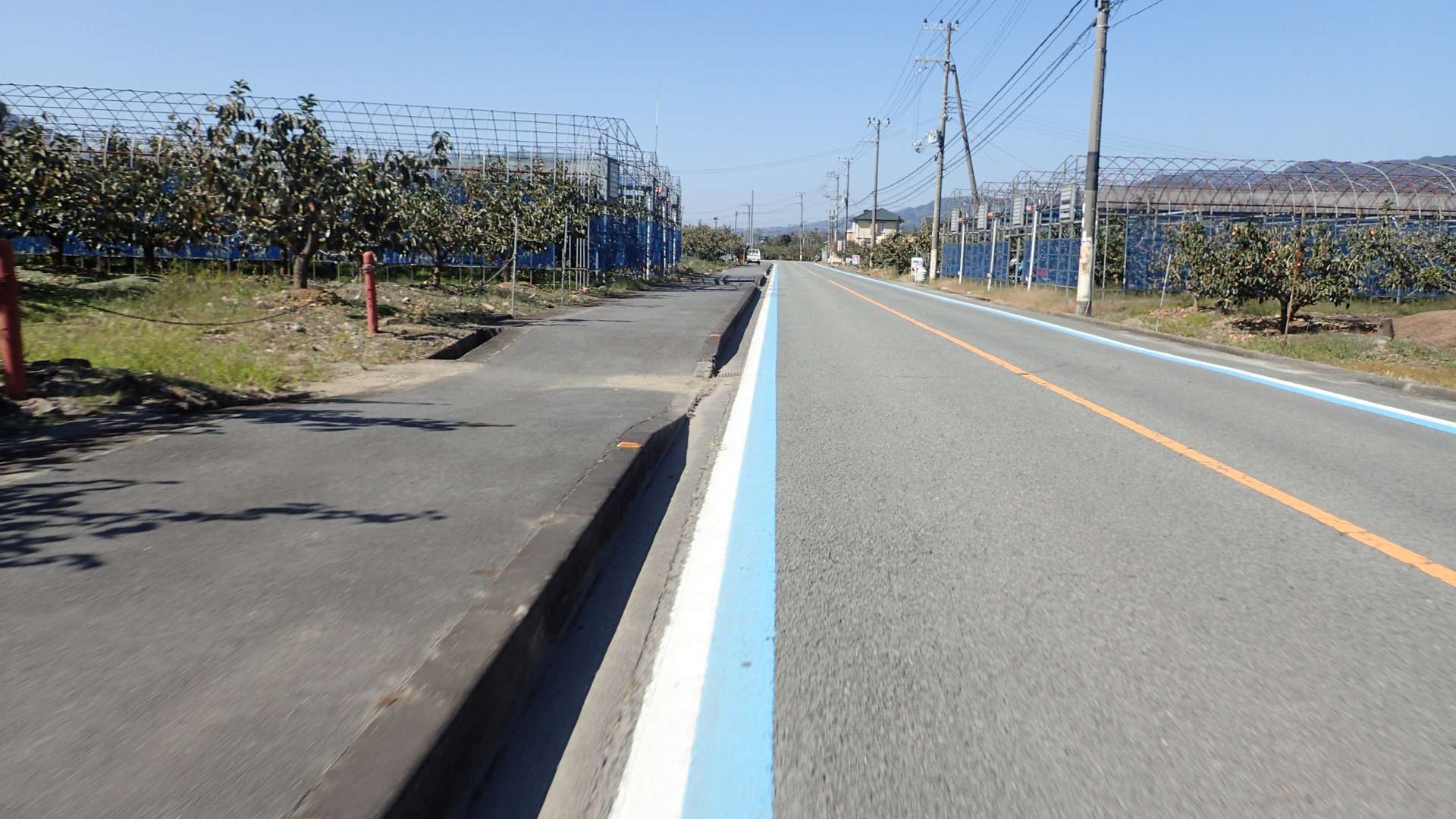 pa193354.jpg