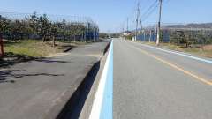 pa193354_thumb.jpg