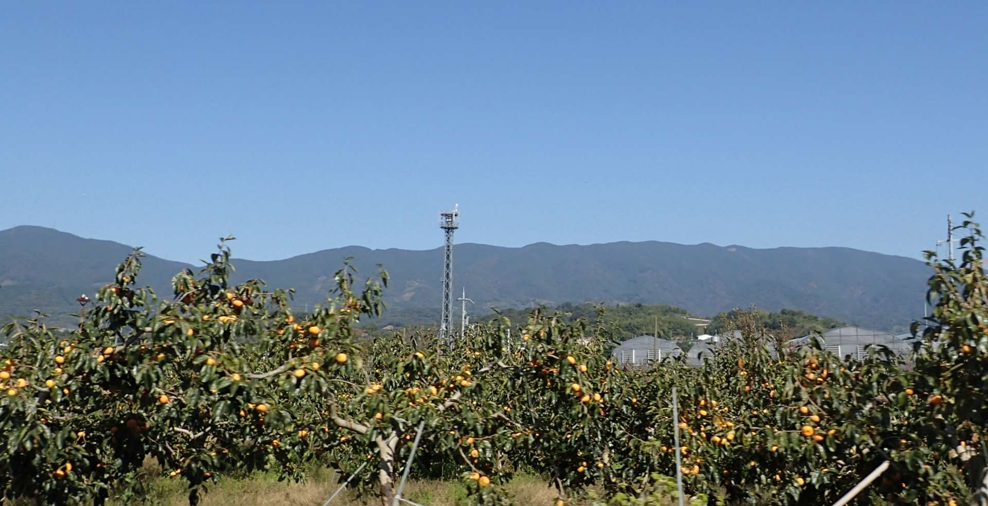 pa193356.jpg