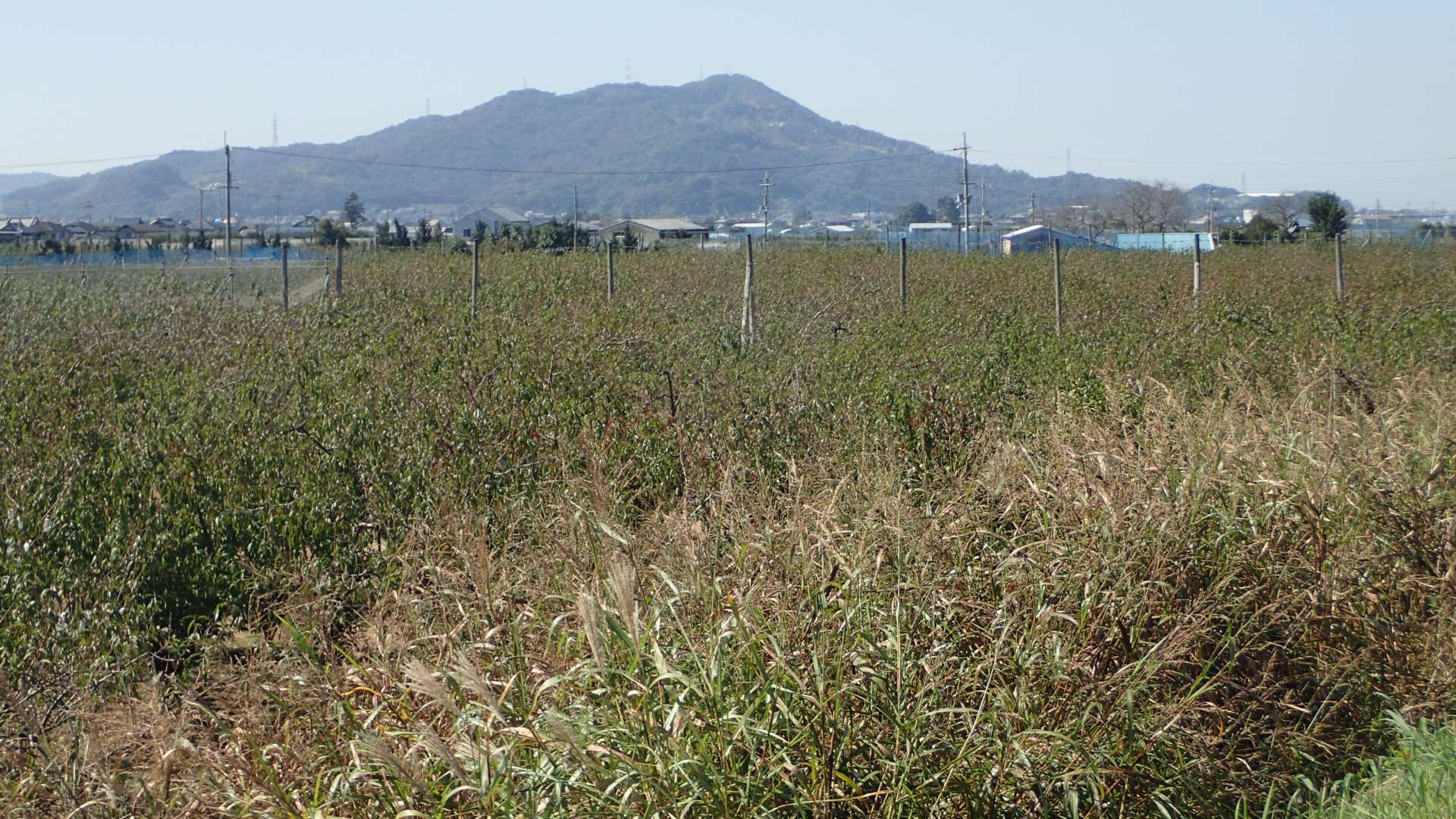 pa193399.jpg