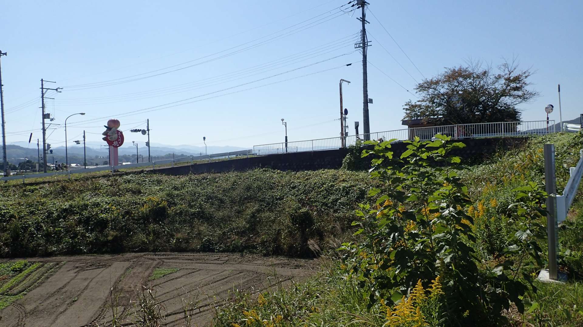 pa193401.jpg