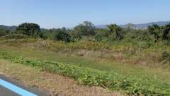 pa193403_thumb.jpg