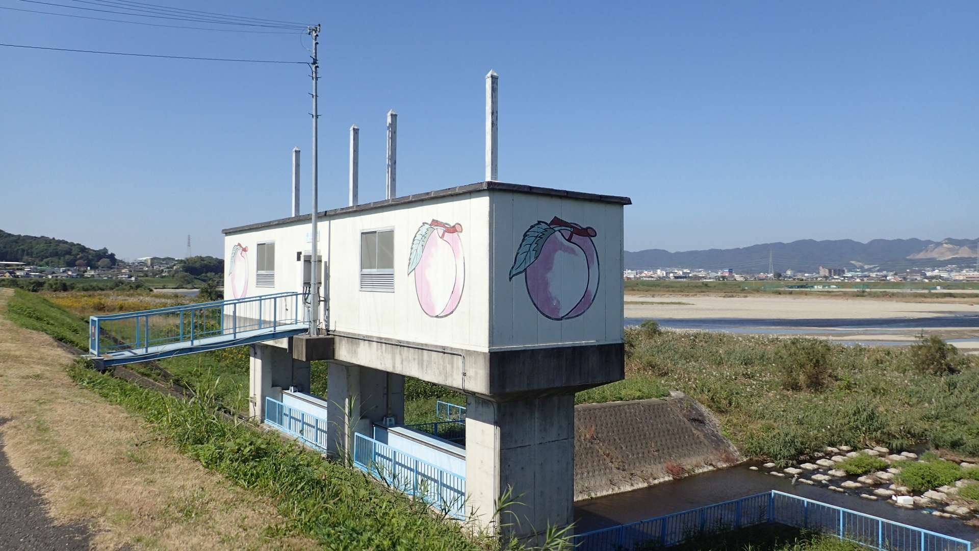 pa193405.jpg
