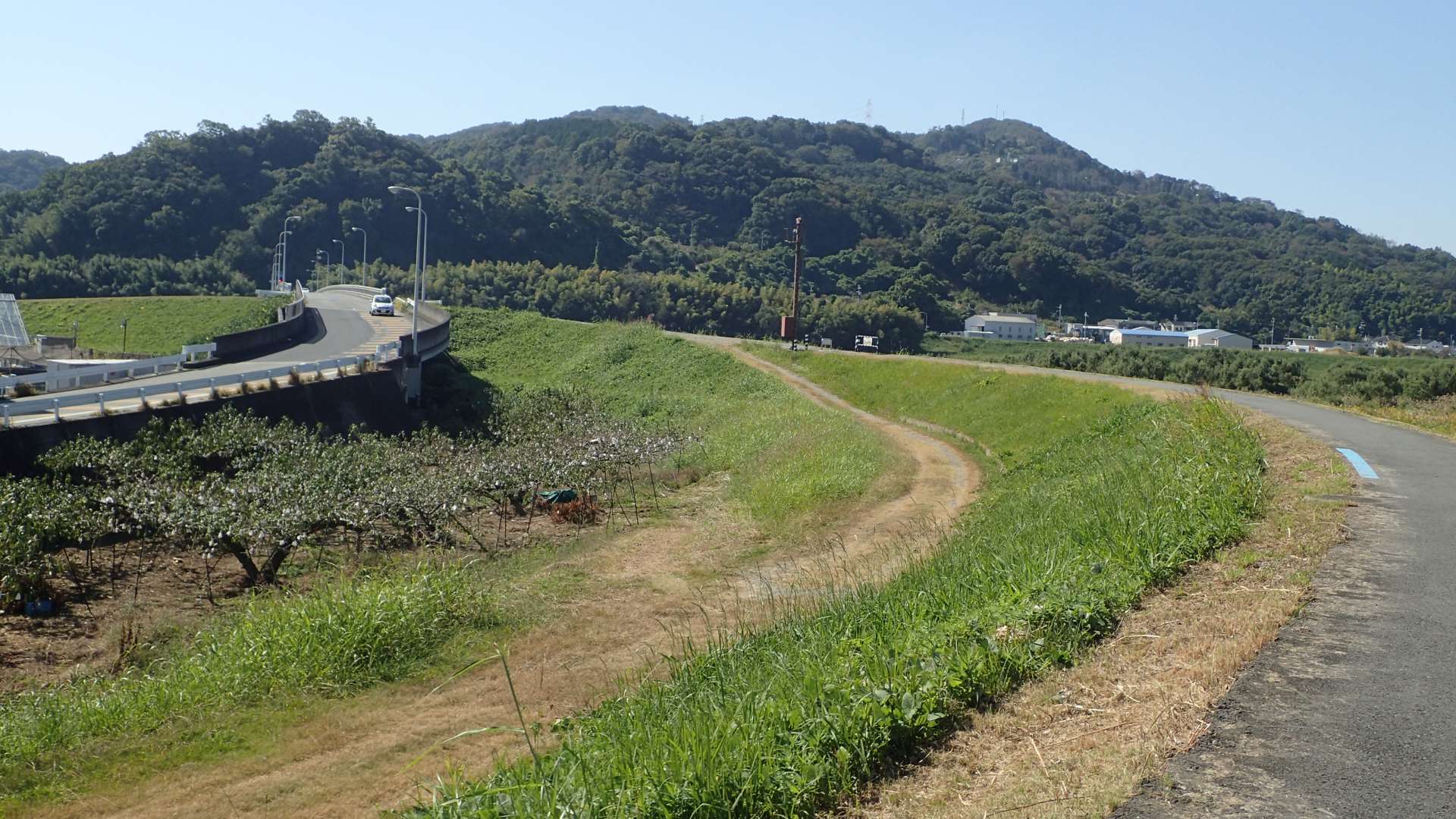 pa193407.jpg