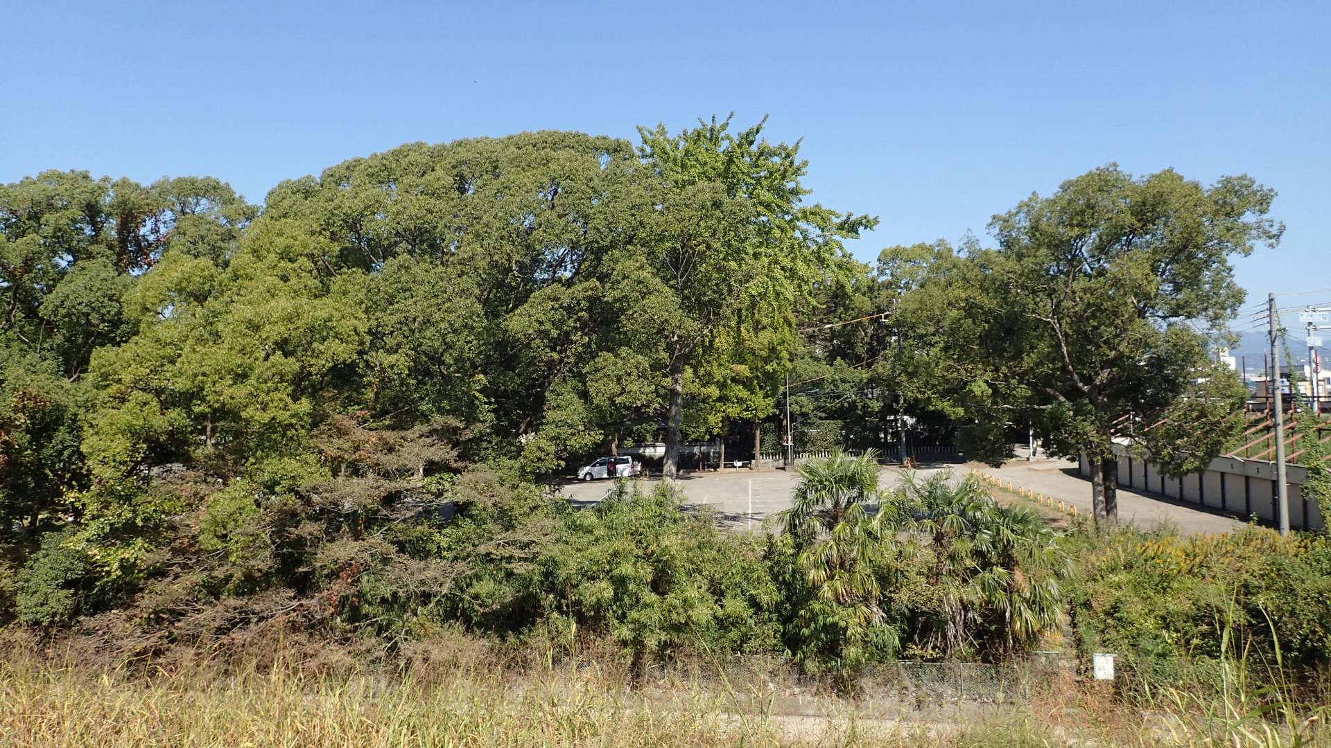 pa193413.jpg