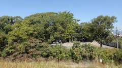 pa193413_thumb.jpg
