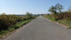 pa193420_thumb.jpg