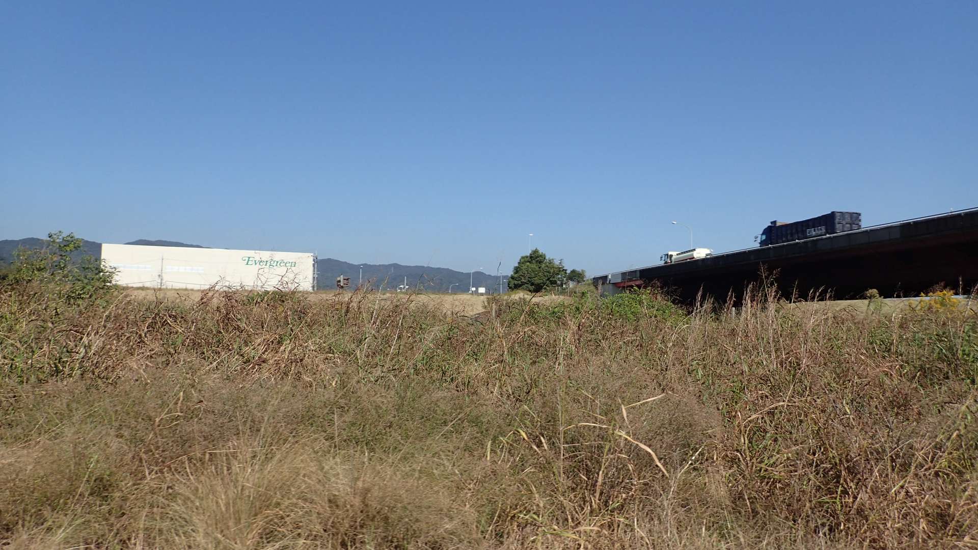 pa193423.jpg