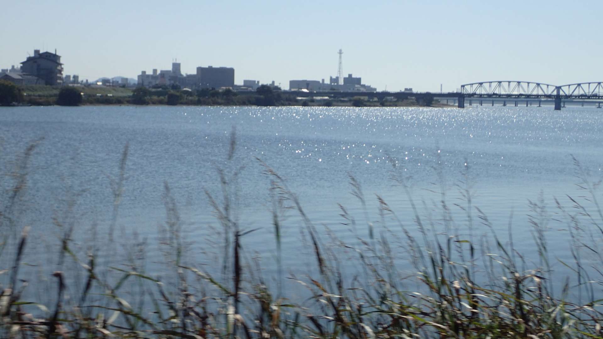 pa193428.jpg