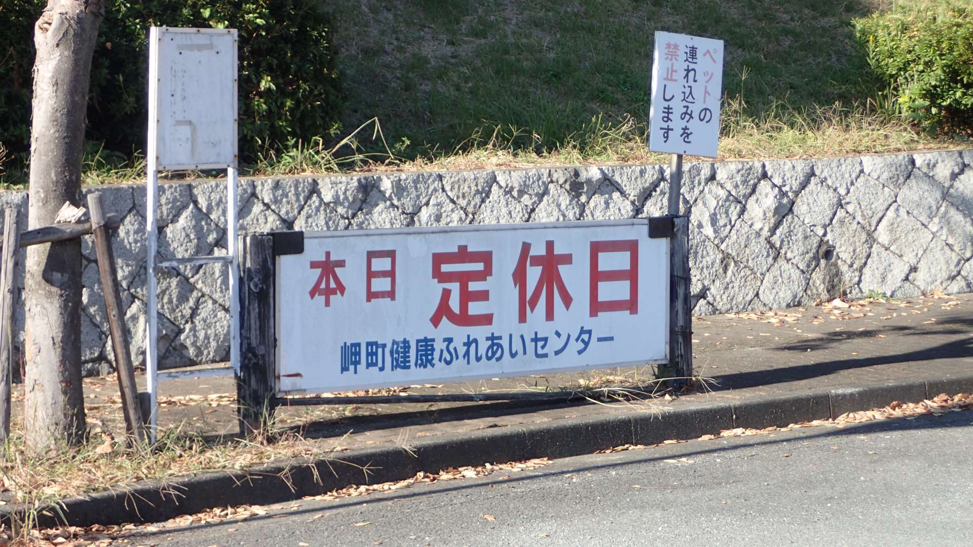 pa193458.jpg