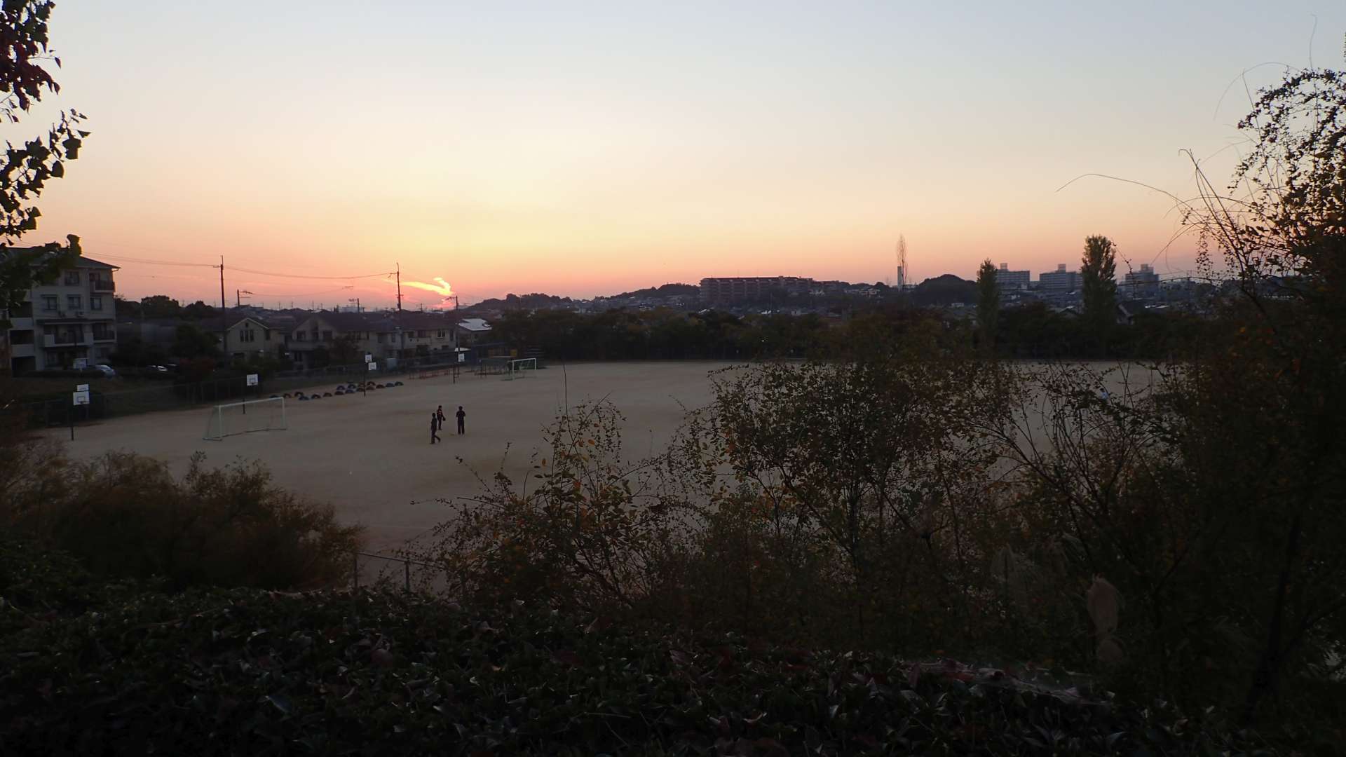 pa193459.jpg