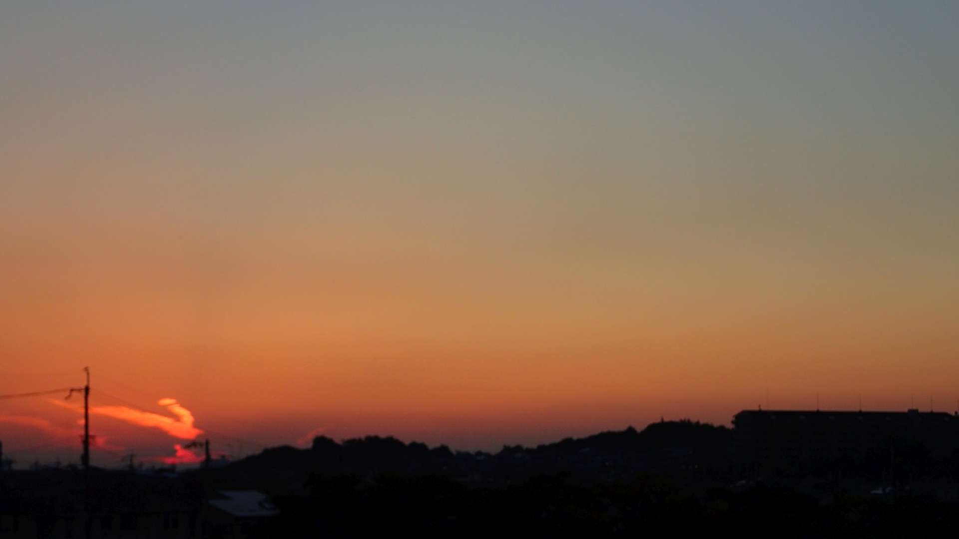 pa193461.jpg