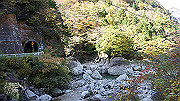 dsc00001_thumb.jpg