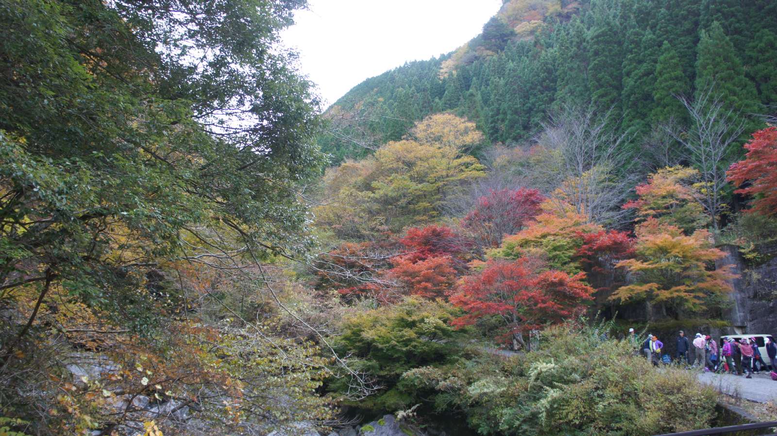 dsc00002.jpg
