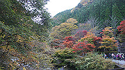 dsc00002_thumb.jpg
