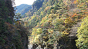 dsc00003_thumb.jpg