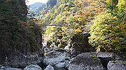 dsc00004_thumb.jpg